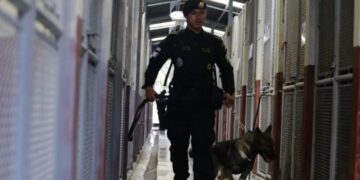 Gobernación continúa fortaleciendo acciones contra el narcotráfico