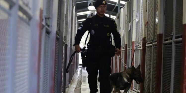 Gobernación continúa fortaleciendo acciones contra el narcotráfico