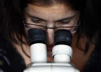 Crean microscopio de tres fotones para imágenes de cerebro profundo