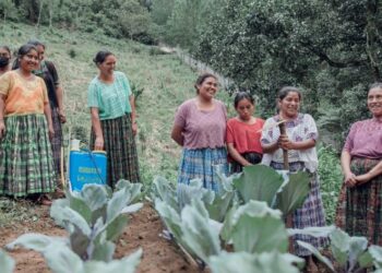 Mineco promueve plan de desarrollo inclusivo en Alta Verapaz