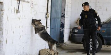Agentes caninos culminaron su proceso de adiestramiento. /Foto: Mingob