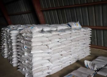 Buscan fortalecer la producción de semillas certificadas. /Foto: MAGA