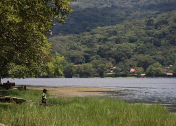 Guatemala participa en sesión de trabajo de la CCAD