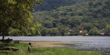 Guatemala participa en sesión de trabajo de la CCAD