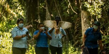 Animales son liberados luego de su recuperación. /Foto: Arcas