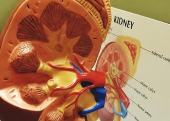 Salud impulsa programa preventivo renal