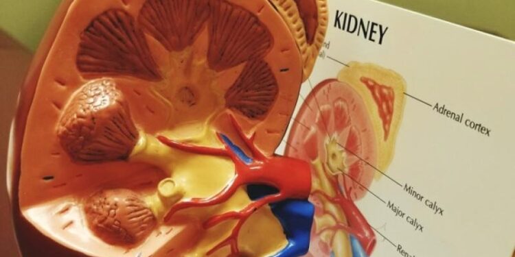 Salud impulsa programa preventivo renal