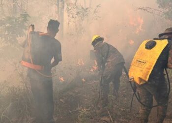 Personal del Ejército apoya en el sofocamiento de incendios. /Foto: Ministerio de la Defensa