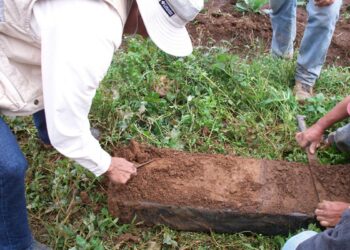 Efectuarán estudios de suelos para mejorar producción agrícola