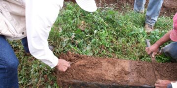 Efectuarán estudios de suelos para mejorar producción agrícola