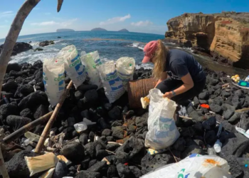 Retiran más de dos toneladas de desechos de las costas de Galápagos