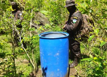 Por segundo día consecutivo, Ejército localiza plantación de coca en San Luis, Petén