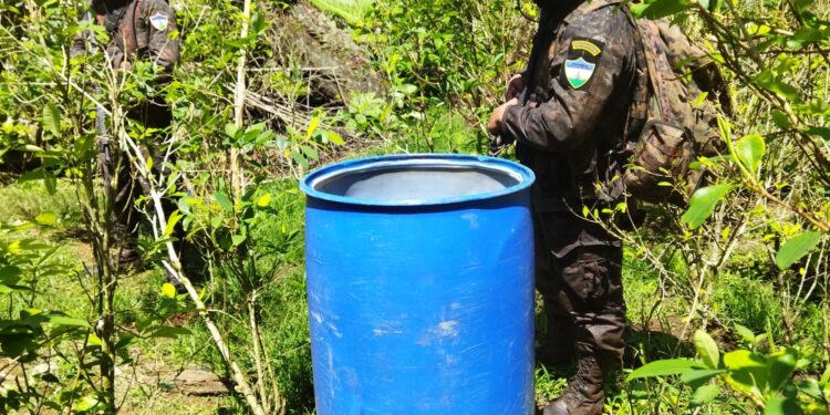 Por segundo día consecutivo, Ejército localiza plantación de coca en San Luis, Petén