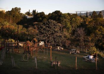 Minibosques urbanos, una iniciativa para crear pasillos verdes biodiversos