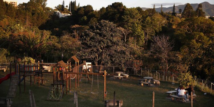 Minibosques urbanos, una iniciativa para crear pasillos verdes biodiversos
