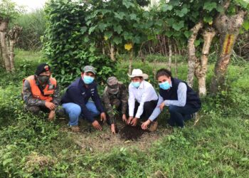 Agradecen cumplimiento de Ley Temporal de Desarrollo Integral