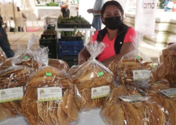 Continúa apoyo a las Mipyme a nivel departamental