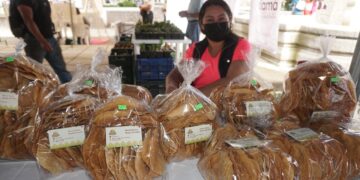 Continúa apoyo a las Mipyme a nivel departamental