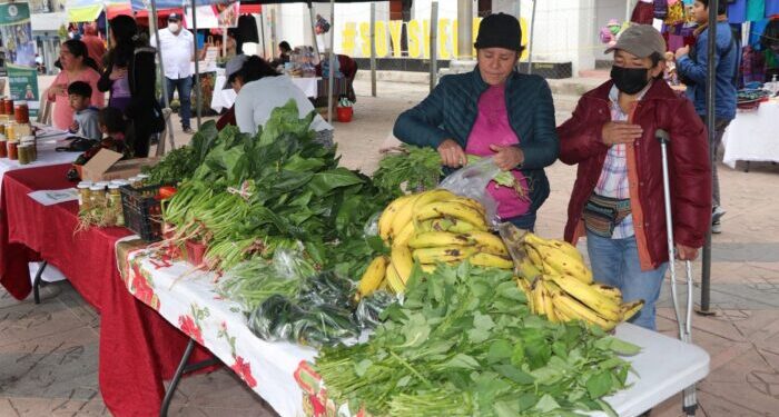 Día Orgánico, proyecto que impulsa la alimentación saludable en San Marcos