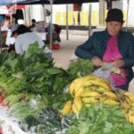 Día Orgánico, proyecto que impulsa la alimentación saludable en San Marcos