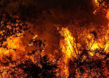 Partículas de humo de los incendios pueden erosionar la capa de ozono