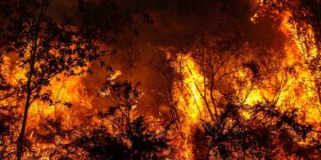 Partículas de humo de los incendios pueden erosionar la capa de ozono