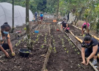 Departamento de Guatemala apuesta por desarrollo rural
