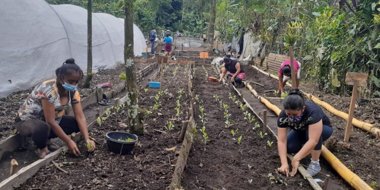 Departamento de Guatemala apuesta por desarrollo rural