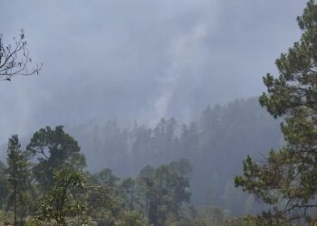 Departamento de Guatemala intensifica trabajo para atender incendios forestales
