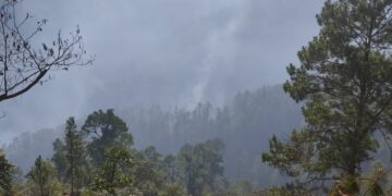 Departamento de Guatemala intensifica trabajo para atender incendios forestales