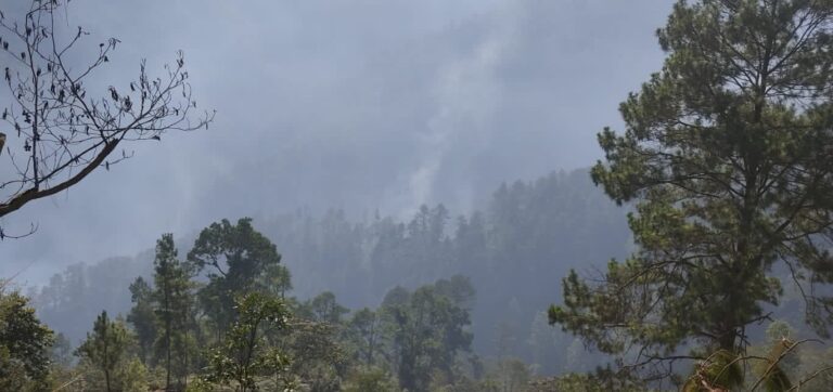 Departamento de Guatemala intensifica trabajo para atender incendios forestales