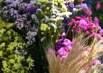 La Resurrección es la celebración de la vida. / foto: SCSP.