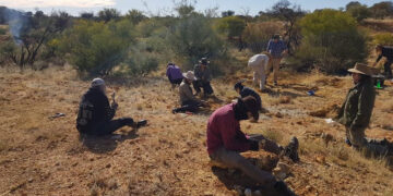 Hallan fósiles de dos marsupiales australianos de 25 millones de años