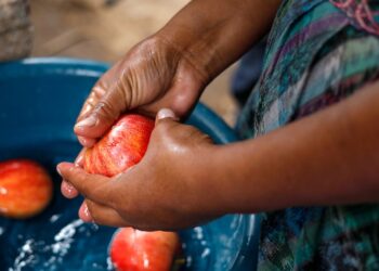 Reconocen rol de la mujer en la seguridad alimentaria familiar