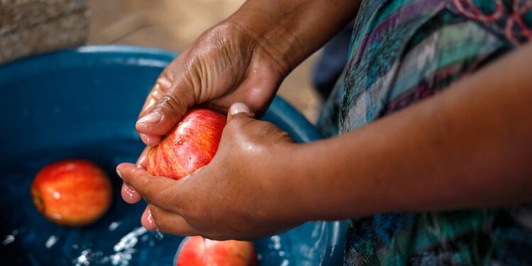 Reconocen rol de la mujer en la seguridad alimentaria familiar