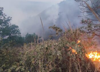 Combaten incendio forestal en Sacapulas