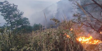 Combaten incendio forestal en Sacapulas