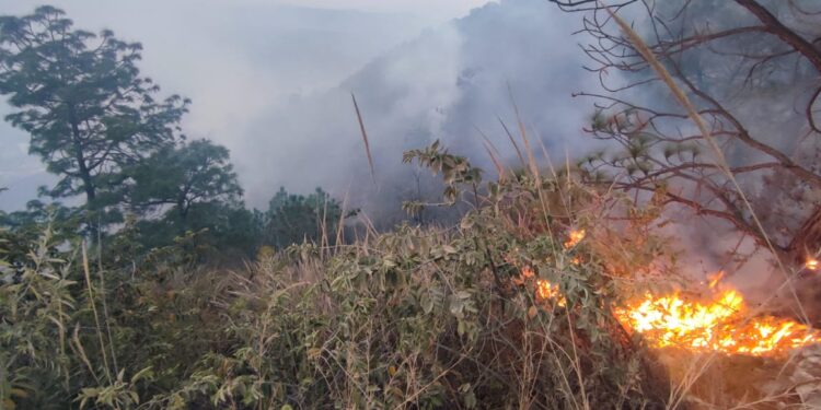 Combaten incendio forestal en Sacapulas