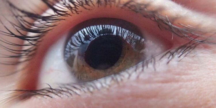 Italiano recupera la vista gracias a una inédita reconstrucción ocular