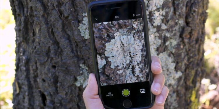 Conap anuncia segunda edición del Reto Naturalista