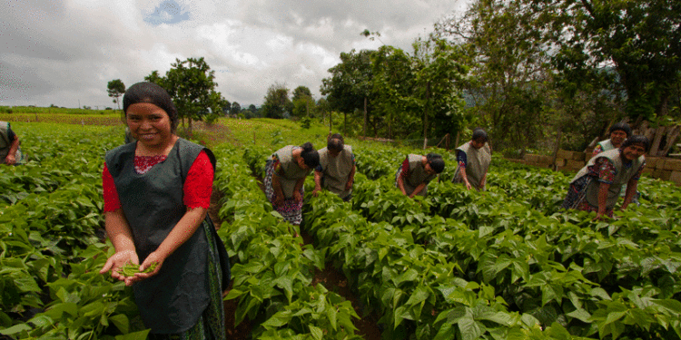 MAGA conmemora el Día de la Mujer con acciones para empoderarlas