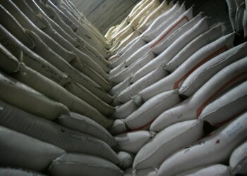 Comercio entre Guatemala y República de China (Taiwán) asciende a 30 millones de dólares durante el año