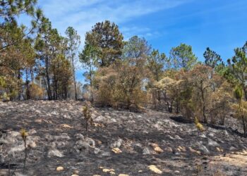Afianzan estrategias contra incendios forestales en Totonicapán