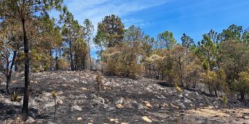 Afianzan estrategias contra incendios forestales en Totonicapán
