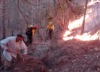 Brigada de respuesta controla incendio forestal en Jalapa