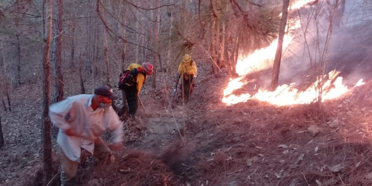 Brigada de respuesta controla incendio forestal en Jalapa