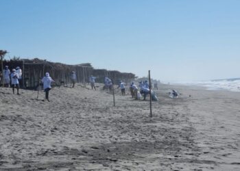 Lanzarán Playas Limpias 2023
