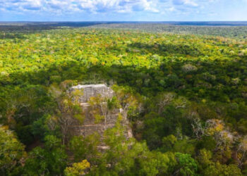 Reserva de la Biosfera Maya, área boscosa más grande de Guatemala