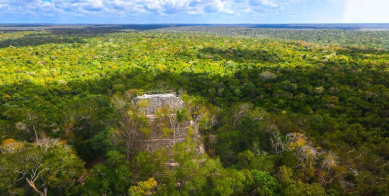 Reserva de la Biosfera Maya, área boscosa más grande de Guatemala