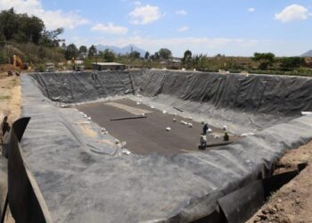 Monitorean proyectos que promueve AMSA